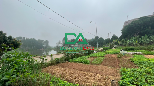 Bán lô góc đất đấu giá Du Ngoại Mai Lâm Đông Anh – View hồ, pháp lý chuẩn