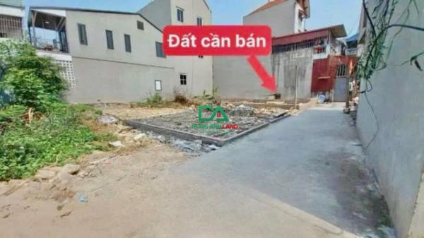 Bán đất Đông Anh - Chính chủ gửi bán 53.7m2 tại Cổ Dương Tiên Dương