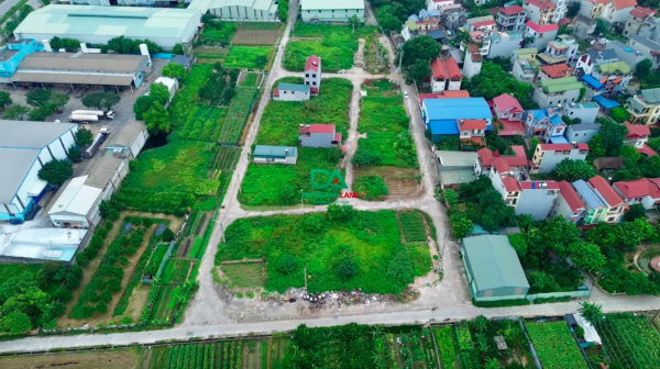 BÁN ĐẤT ĐẤU GIÁ X3 KHÊ NỮ XÃ PHÚC THỊNH – LÔ 71 SAU LƯNG TRUNG TÂM ĐĂNG KIỂM 