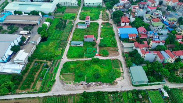 Bán đất đấu giá X3 Khê Nữ, xã Nguyên Khê, Đông Anh ngay sau trạm đăng kiểm 