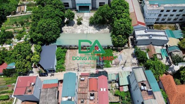 Bán đất đấu giá X6 Đản Dị Đông Anh - sát khu phố ẩm thực sầm uất