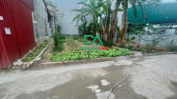 Bán 119,6m2 đất xã Hải Bối Đông Anh giá 5xtr/m2 - Giao dịch 24/7