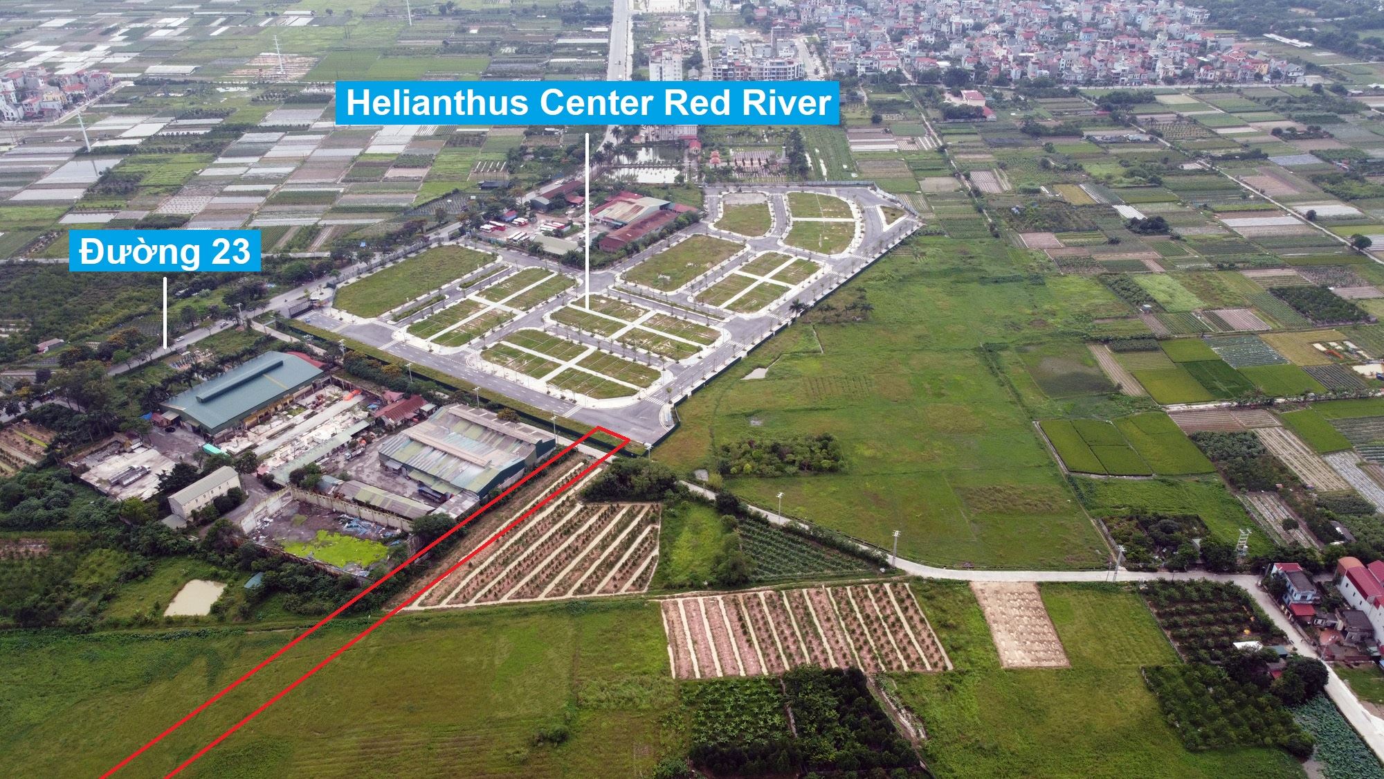 Đường sẽ mở theo quy hoạch ở xã Tiên Dương, Đông Anh, Hà Nội (phần 8)