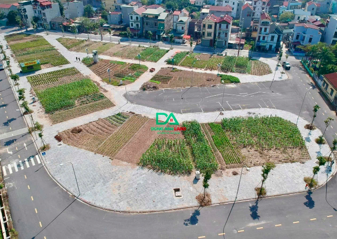 Sơ đồ và vị trí khu đấu giá X1 Lê Xá Mai Lâm Đông Anh