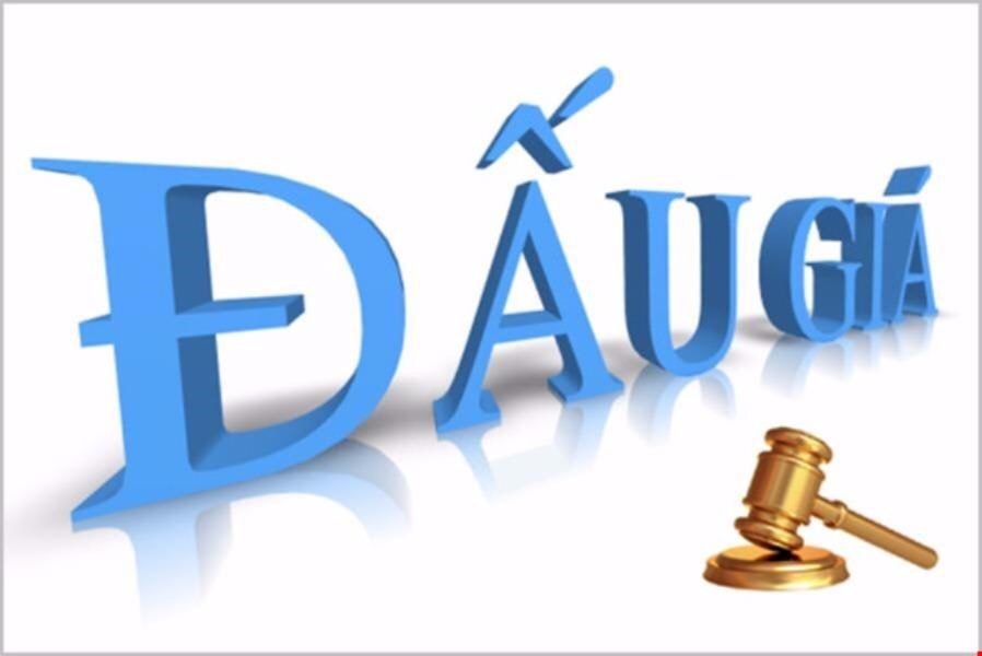 THÔNG BÁO LỊCH ĐẤU GIÁ ĐẤT TẠI ĐÔNG ANH - HÀ NỘI